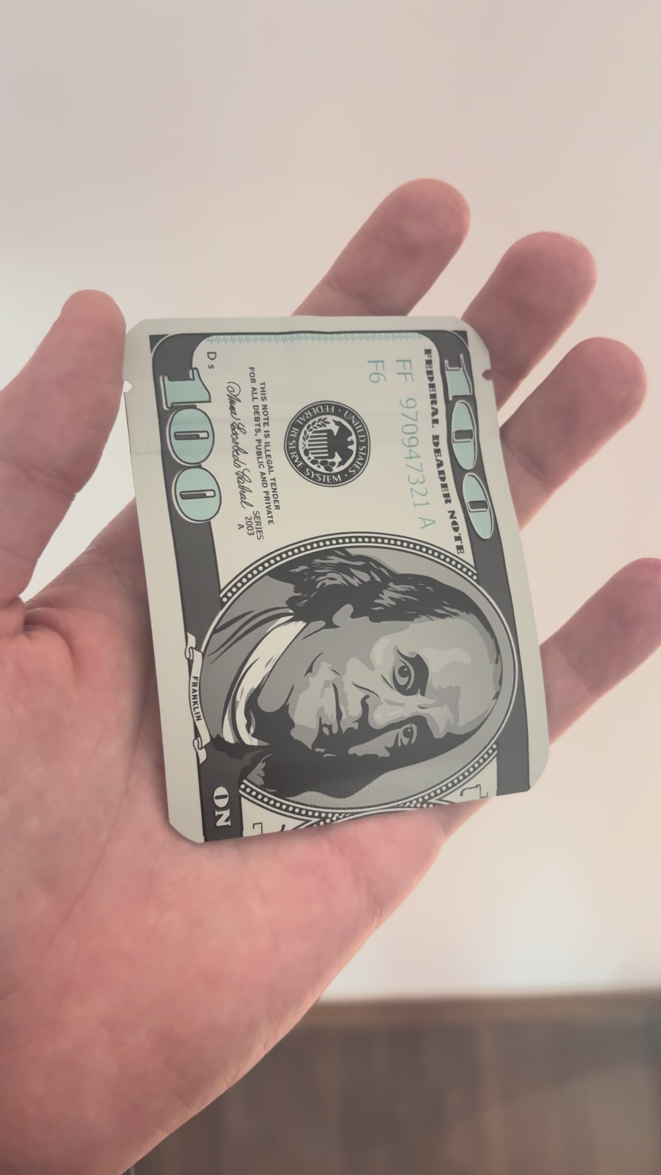 Mini storage bag ( Dollar )